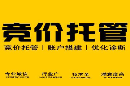 SEM服务公司助力企业流量增长案例